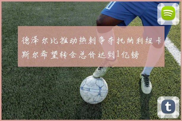 德泽尔比推动热刺争夺托纳利纽卡斯尔希望转会总价达到1亿镑