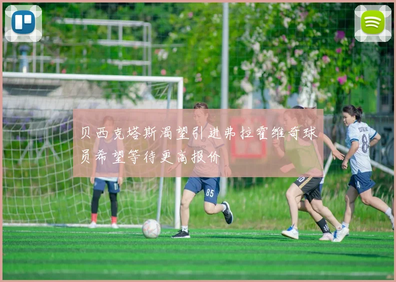 贝西克塔斯渴望引进弗拉霍维奇球员希望等待更高报价